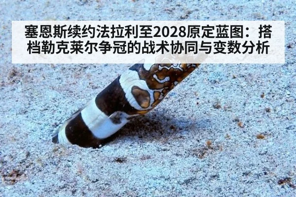 塞恩斯续约法拉利至2028原定蓝图：搭档勒克莱尔争冠的战术协同与变数分析