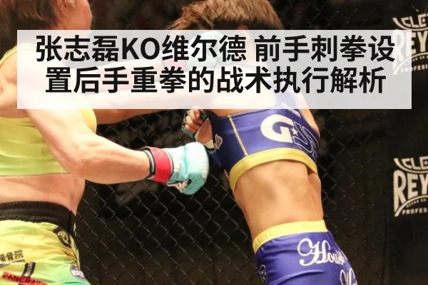张志磊KO维尔德 前手刺拳设置后手重拳的战术执行解析