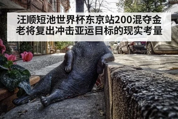 汪顺短池世界杯东京站200混夺金 老将复出冲击亚运目标的现实考量