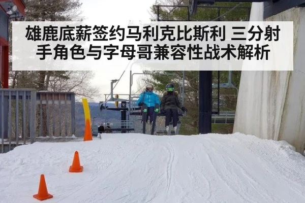 雄鹿底薪签约马利克比斯利 三分射手角色与字母哥兼容性战术解析